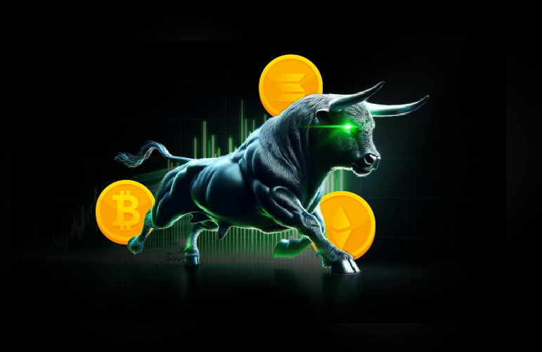 bull run crypto